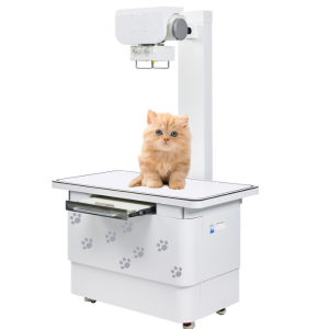 Sistema Pro Vet DR